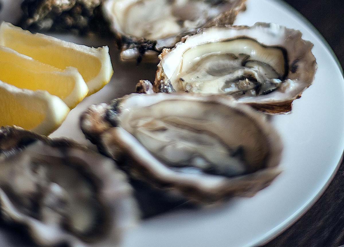 Oysters